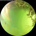 ./images/calvert/underwater/20260630/underwater20260630_153501M.jpg