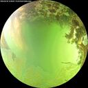 ./images/calvert/underwater/20260630/underwater20260630_154002M.jpg