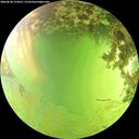./images/calvert/underwater/20260630/underwater20260630_154501M.jpg