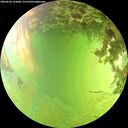 ./images/calvert/underwater/20260630/underwater20260630_155001M.jpg