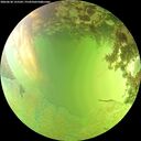 ./images/calvert/underwater/20260630/underwater20260630_155501M.jpg