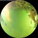 ./images/calvert/underwater/20260630/underwater20260630_160501M.jpg