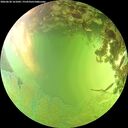./images/calvert/underwater/20260630/underwater20260630_161002M.jpg