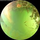 ./images/calvert/underwater/20260630/underwater20260630_161501M.jpg