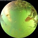 ./images/calvert/underwater/20260630/underwater20260630_162002M.jpg