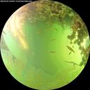 ./images/calvert/underwater/20260630/underwater20260630_163001M.jpg