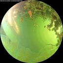 ./images/calvert/underwater/20260630/underwater20260630_164002M.jpg
