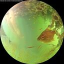 ./images/calvert/underwater/20260630/underwater20260630_165501M.jpg