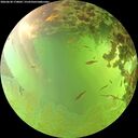 ./images/calvert/underwater/20260630/underwater20260630_170002M.jpg