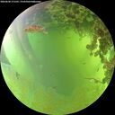 ./images/calvert/underwater/20260630/underwater20260630_171501M.jpg