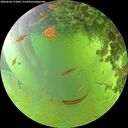 ./images/calvert/underwater/20260630/underwater20260630_172001M.jpg