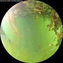./images/calvert/underwater/20260630/underwater20260630_173001M.jpg