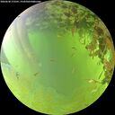 ./images/calvert/underwater/20260630/underwater20260630_173501M.jpg