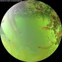 ./images/calvert/underwater/20260630/underwater20260630_174002M.jpg