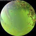 ./images/calvert/underwater/20260630/underwater20260630_174501M.jpg