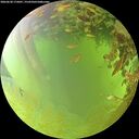 ./images/calvert/underwater/20260630/underwater20260630_175001M.jpg