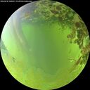 ./images/calvert/underwater/20260630/underwater20260630_180001M.jpg