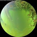 ./images/calvert/underwater/20260630/underwater20260630_180501M.jpg