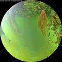 ./images/calvert/underwater/20260630/underwater20260630_181001M.jpg