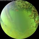 ./images/calvert/underwater/20260630/underwater20260630_181502M.jpg