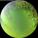 ./images/calvert/underwater/20260630/underwater20260630_182002M.jpg