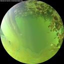 ./images/calvert/underwater/20260630/underwater20260630_182501M.jpg