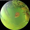 ./images/calvert/underwater/20260630/underwater20260630_183001M.jpg