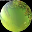 ./images/calvert/underwater/20260630/underwater20260630_184001M.jpg