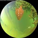 ./images/calvert/underwater/20260630/underwater20260630_184501M.jpg