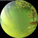 ./images/calvert/underwater/20260630/underwater20260630_185001M.jpg