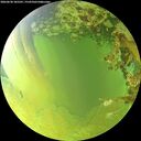 ./images/calvert/underwater/20260630/underwater20260630_185501M.jpg