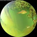 ./images/calvert/underwater/20260630/underwater20260630_190002M.jpg