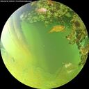 ./images/calvert/underwater/20260630/underwater20260630_190501M.jpg