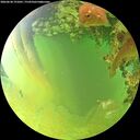 ./images/calvert/underwater/20260630/underwater20260630_191001M.jpg