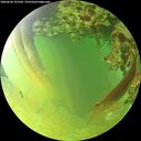 ./images/calvert/underwater/20260630/underwater20260630_191502M.jpg