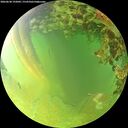 ./images/calvert/underwater/20260630/underwater20260630_192001M.jpg