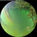 ./images/calvert/underwater/20260630/underwater20260630_192502M.jpg