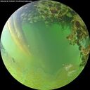 ./images/calvert/underwater/20260630/underwater20260630_193002M.jpg