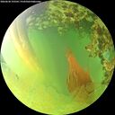 ./images/calvert/underwater/20260630/underwater20260630_193501M.jpg