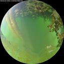 ./images/calvert/underwater/20260630/underwater20260630_194001M.jpg
