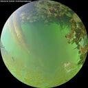 ./images/calvert/underwater/20260630/underwater20260630_194502M.jpg
