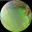 ./images/calvert/underwater/20260630/underwater20260630_195501M.jpg
