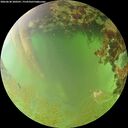 ./images/calvert/underwater/20260630/underwater20260630_200501M.jpg