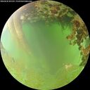./images/calvert/underwater/20260630/underwater20260630_201501M.jpg