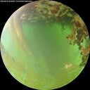 ./images/calvert/underwater/20260630/underwater20260630_202001M.jpg