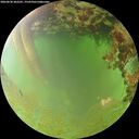 ./images/calvert/underwater/20260630/underwater20260630_202501M.jpg