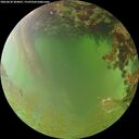 ./images/calvert/underwater/20260630/underwater20260630_204001M.jpg