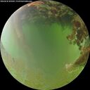 ./images/calvert/underwater/20260630/underwater20260630_205002M.jpg