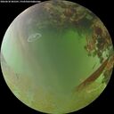 ./images/calvert/underwater/20260630/underwater20260630_205501M.jpg