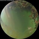 ./images/calvert/underwater/20260630/underwater20260630_212501M.jpg